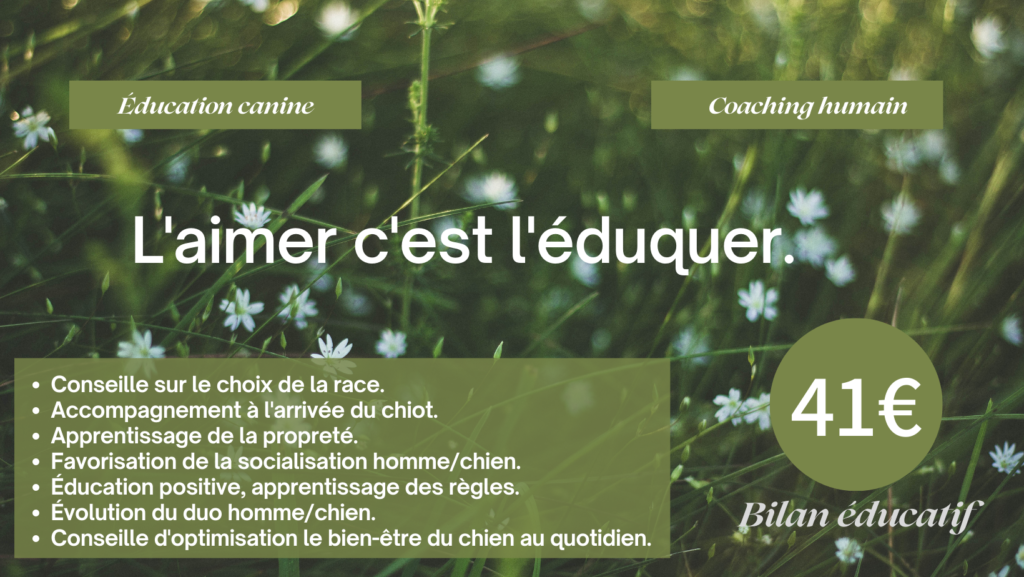 Explorer Pinceau Script Photo Couverture Facebook(1)