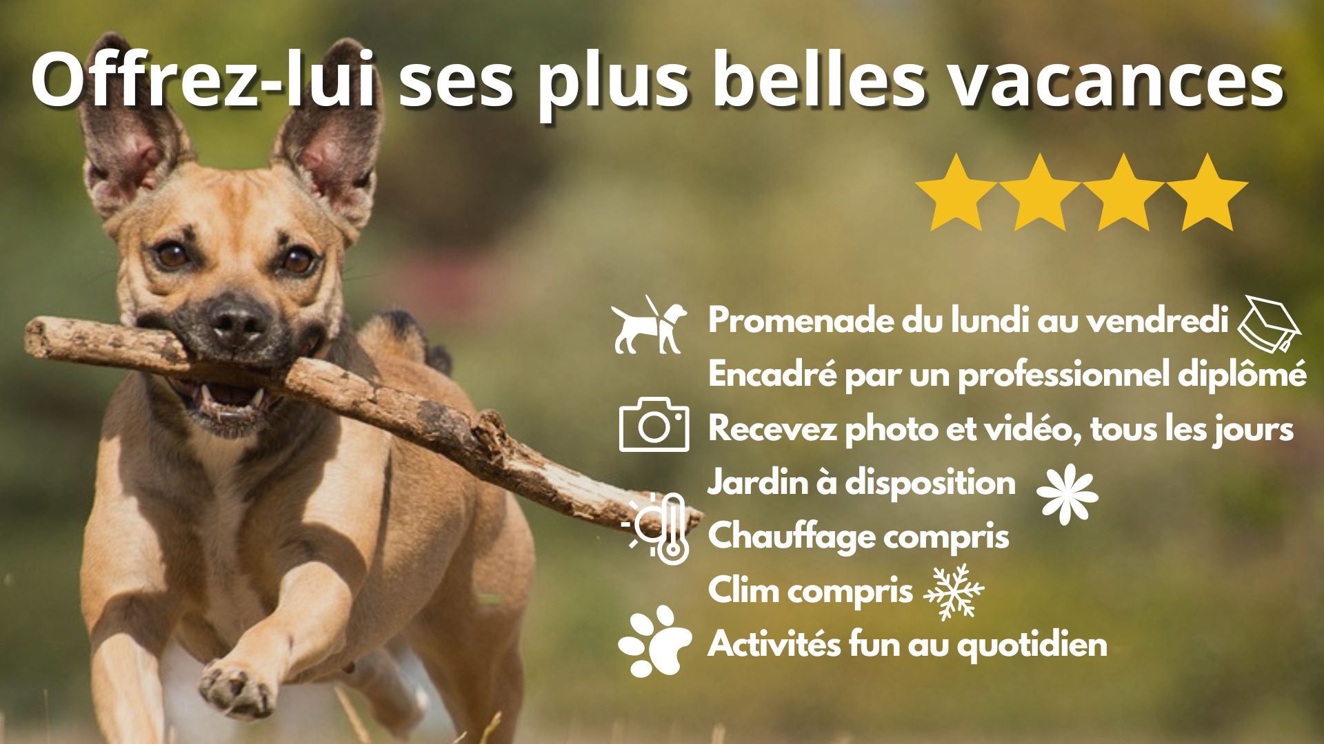 Music Page De Garde Chien