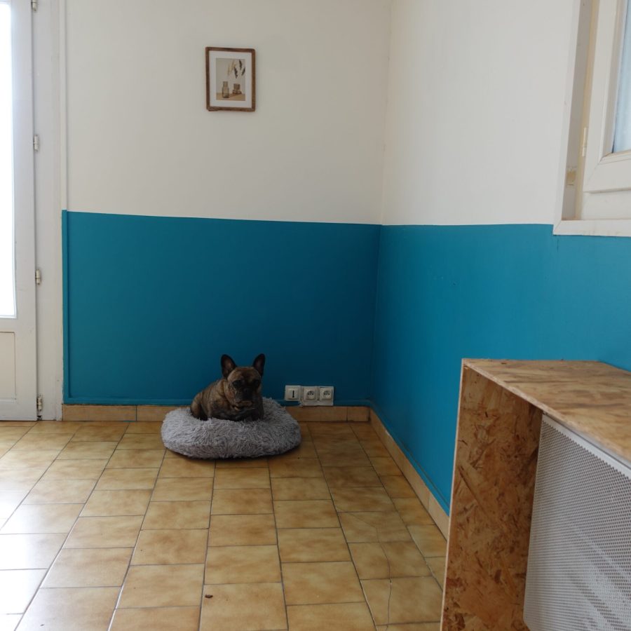 DSC00900 DSC00900